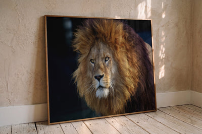 Tiere