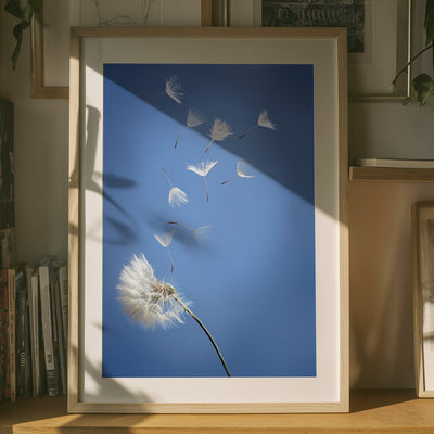 Pusteblume