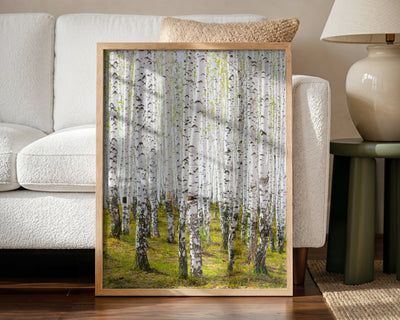 Wald