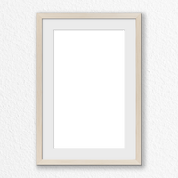 PNP040W060