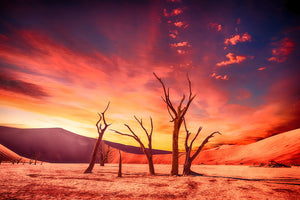 canvas-print-colorful-desert
