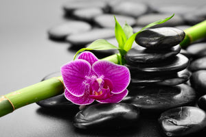 modern-3-piece-aluminium-print-feng-shui-orchid