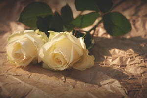 modern-3-piece-acrylic-print-the-purity-of-the-roses