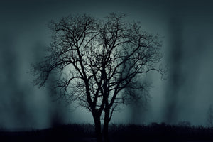 framedcanvas-print-the-tree-in-darkness