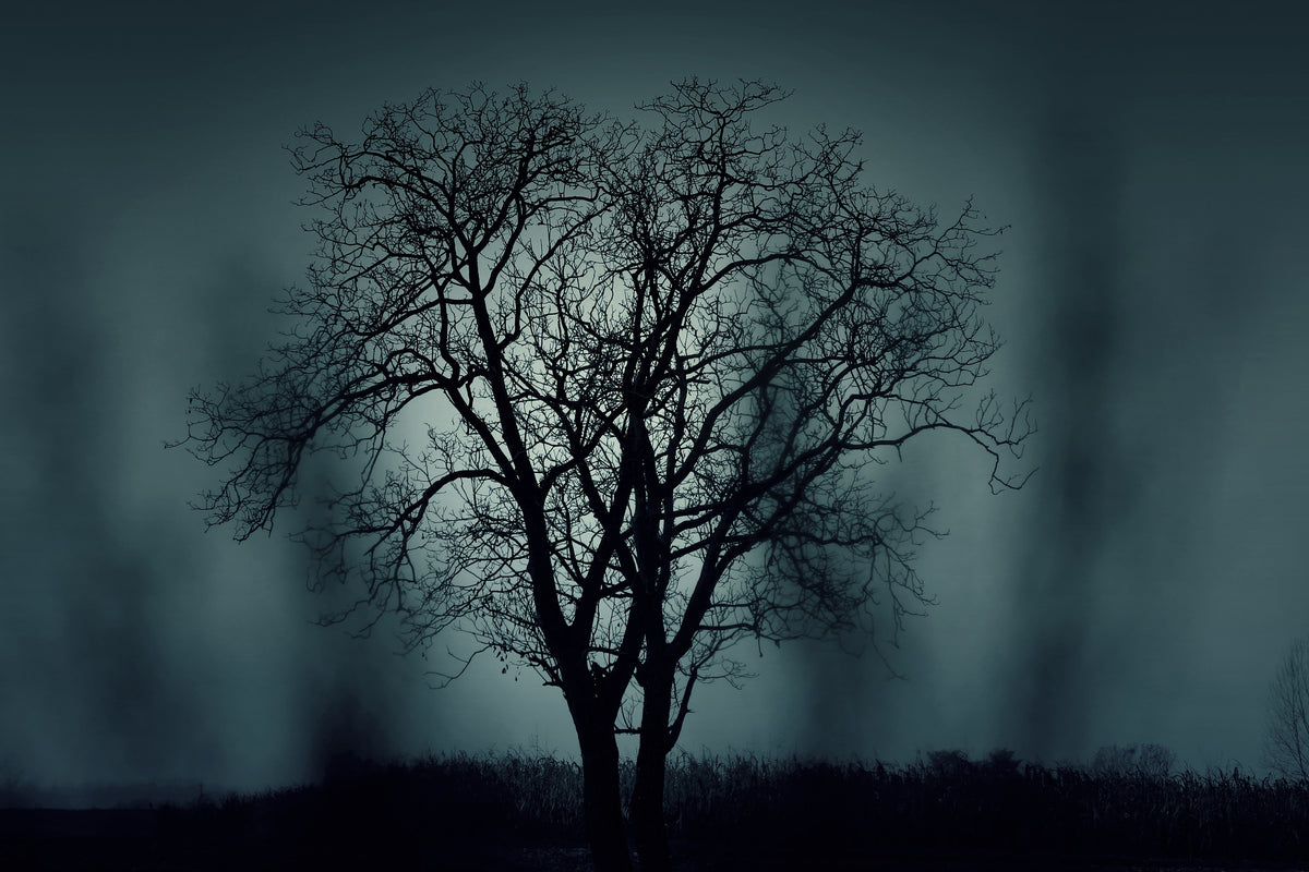 framedcanvas-print-the-tree-in-darkness