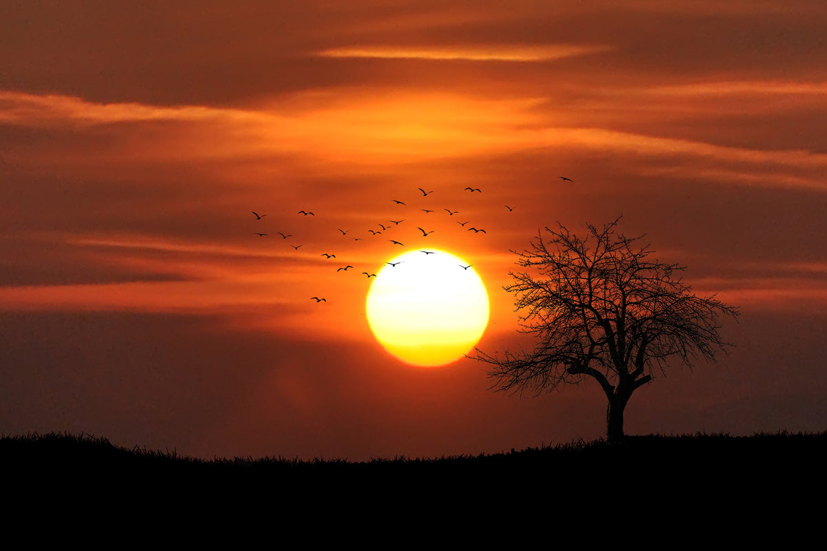 modern-3-piece-canvas-print-the-sunset-on-the-horizon