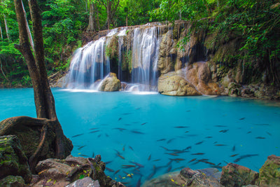 poster-print-nature-waterfall