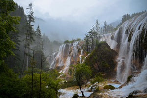 canvas-print-nature-beauty