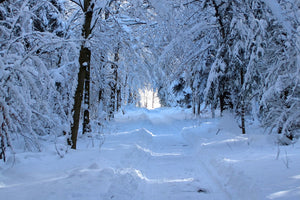 framedcanvas-print-finally-winter