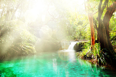 poster-print-the-green-lagoon