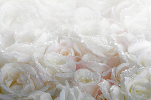 aluminium-print-white-roses-in-the-morning-dew