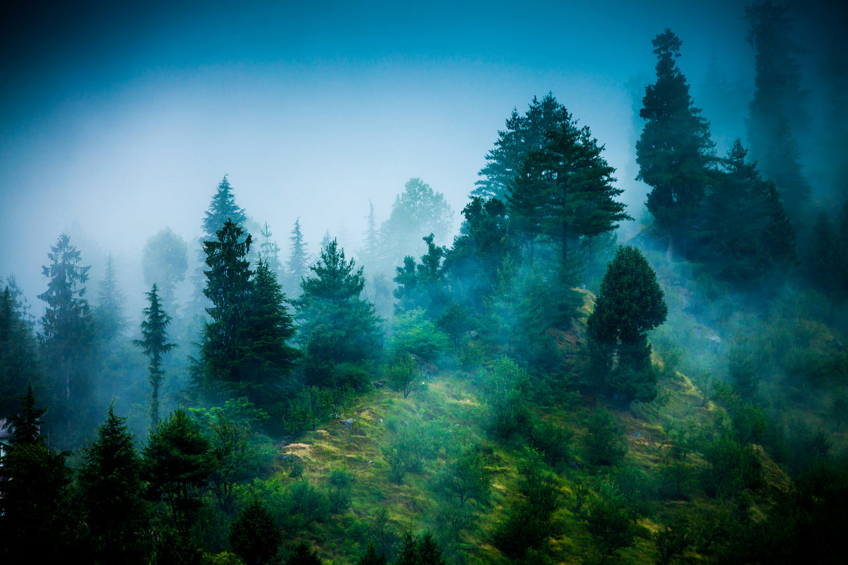 3-piece-aluminium-print-mysterious-forest-ii