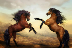 3-piece-aluminium-print-two-wild-horses