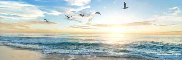 panoramic-3-piece-canvas-print-the-seagulls-and-the-sea-at-sunrise-31-panorama
