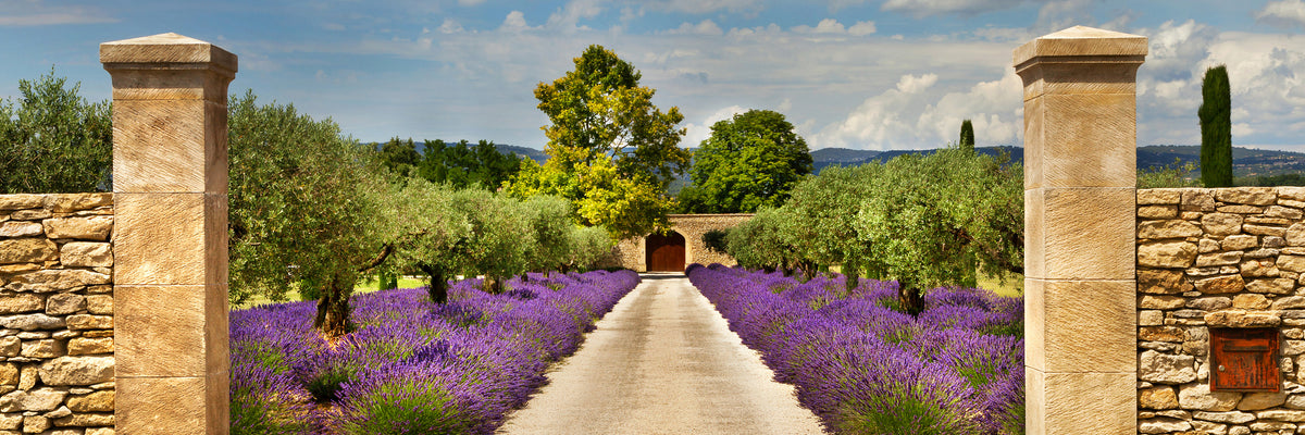 panoramic-acrylic-print-lavender-garden-panorama