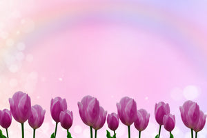 canvas-print-sweet-tulips