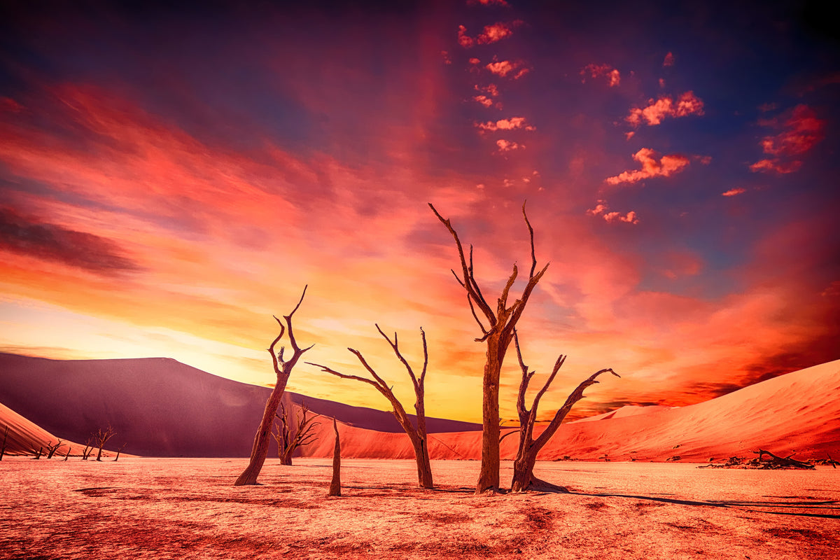 poster-print-colorful-desert