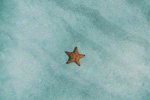 3-piece-aluminium-print-the-little-starfish