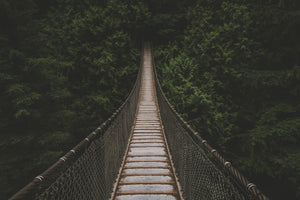 acrylic-print-exciting-bridge