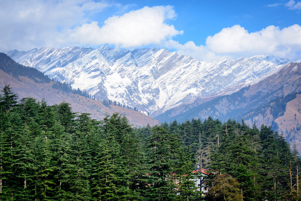 framedcanvas-print-view-of-manali