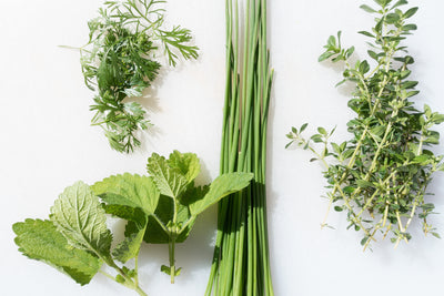 poster-print-fresh-herbs