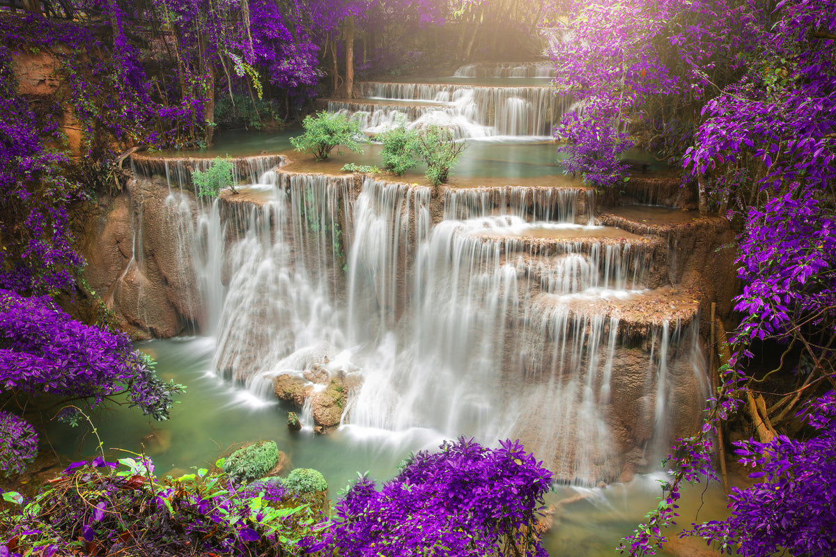 aluminium-print-photowallpaper-garden-eden