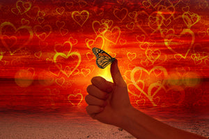 framedposter-print-the-butterfly-and-the-love