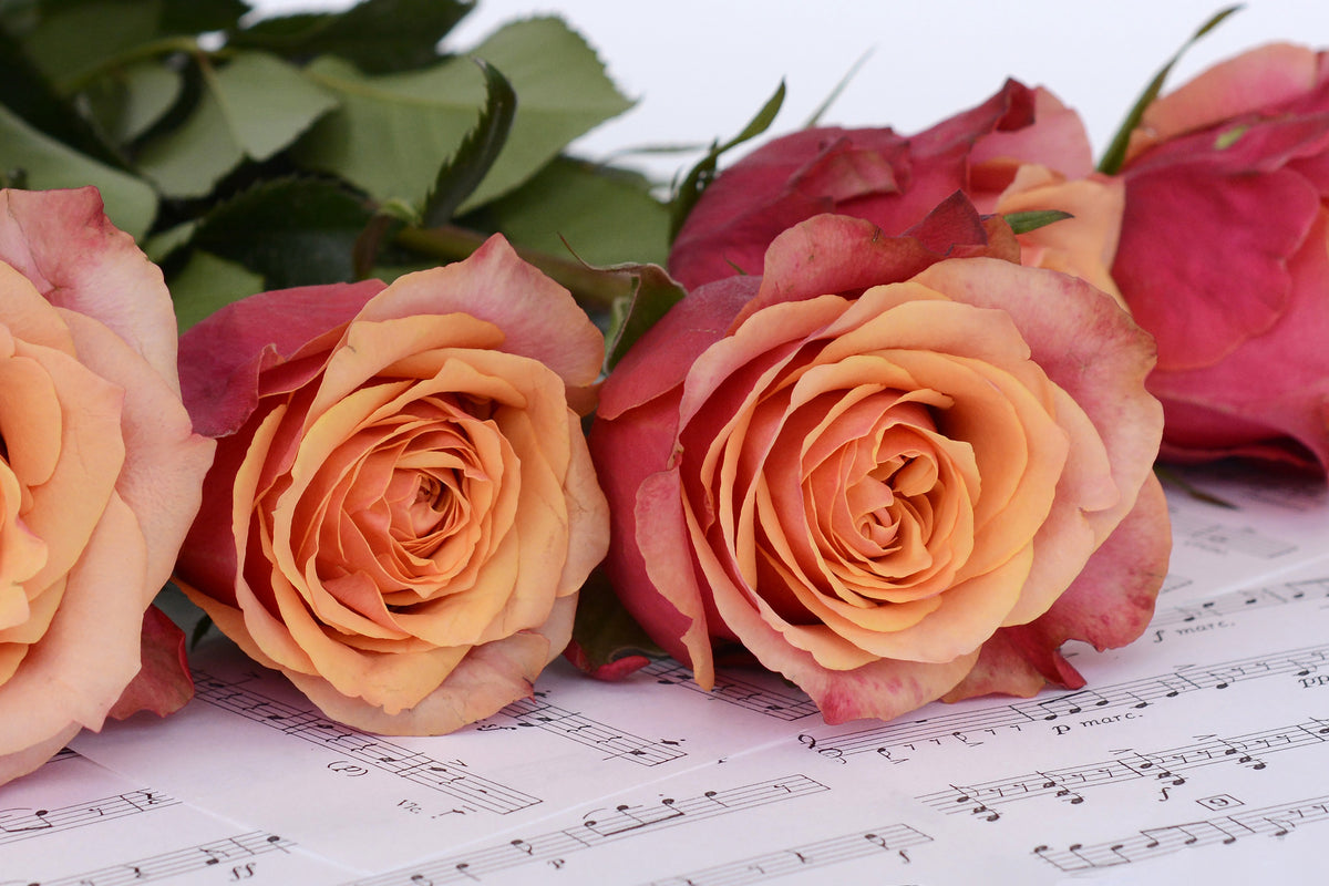 acrylic-print-notes-of-love
