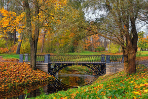 canvas-print-romantic-park