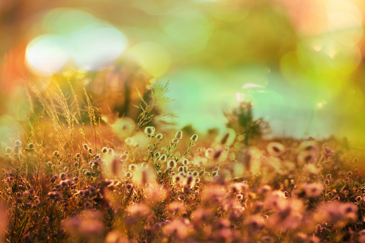 3-piece-aluminium-print-flower-meadow-at-twilight