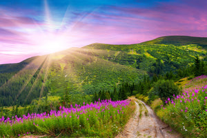 framedposter-print-a-summer-landscape-at-sunrise