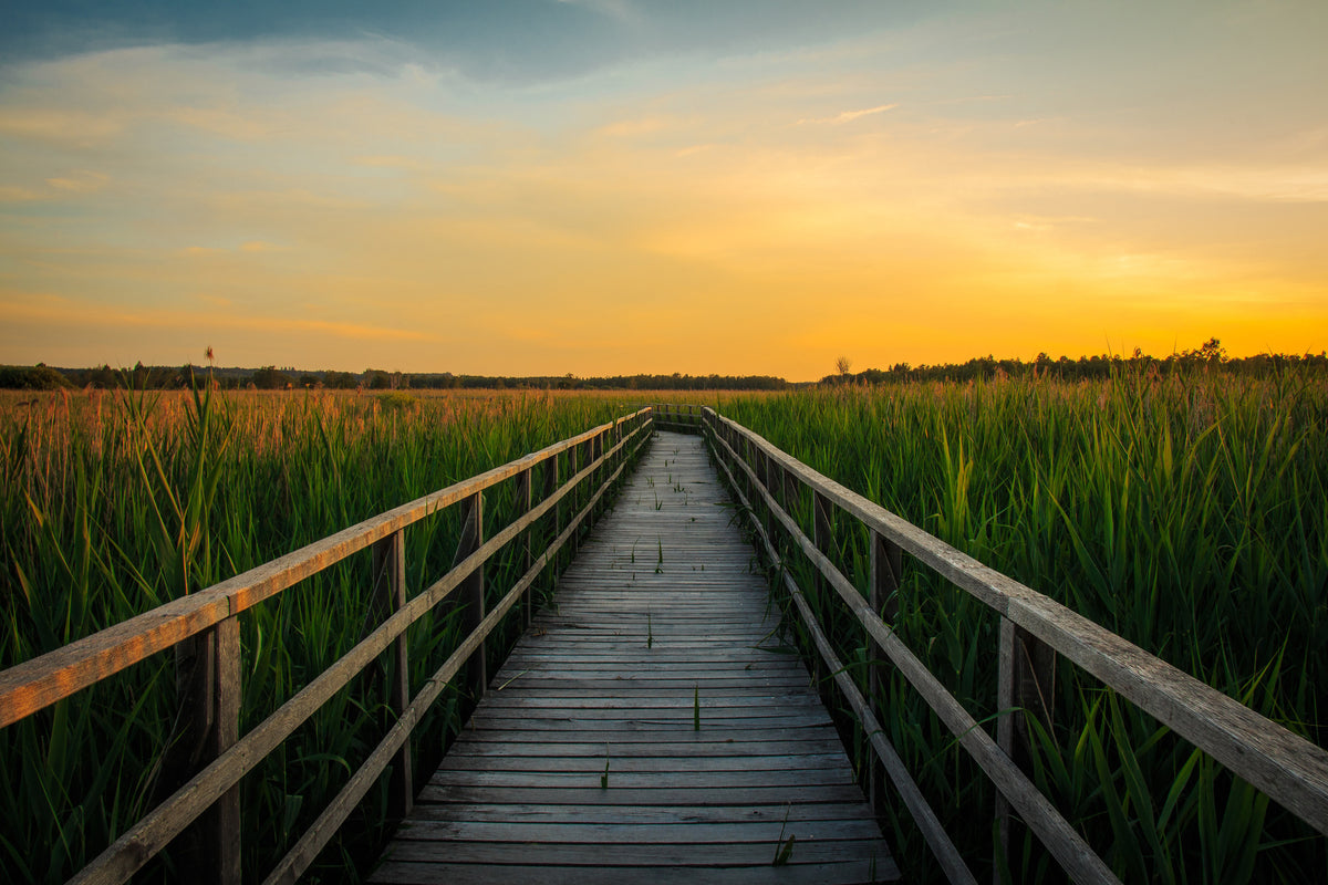 canvas-print-sunset-in-the-fields