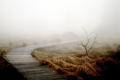 poster-print-dense-fog