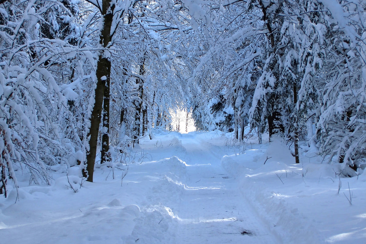 acrylic-print-finally-winter