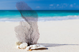 aluminium-print-beach-art