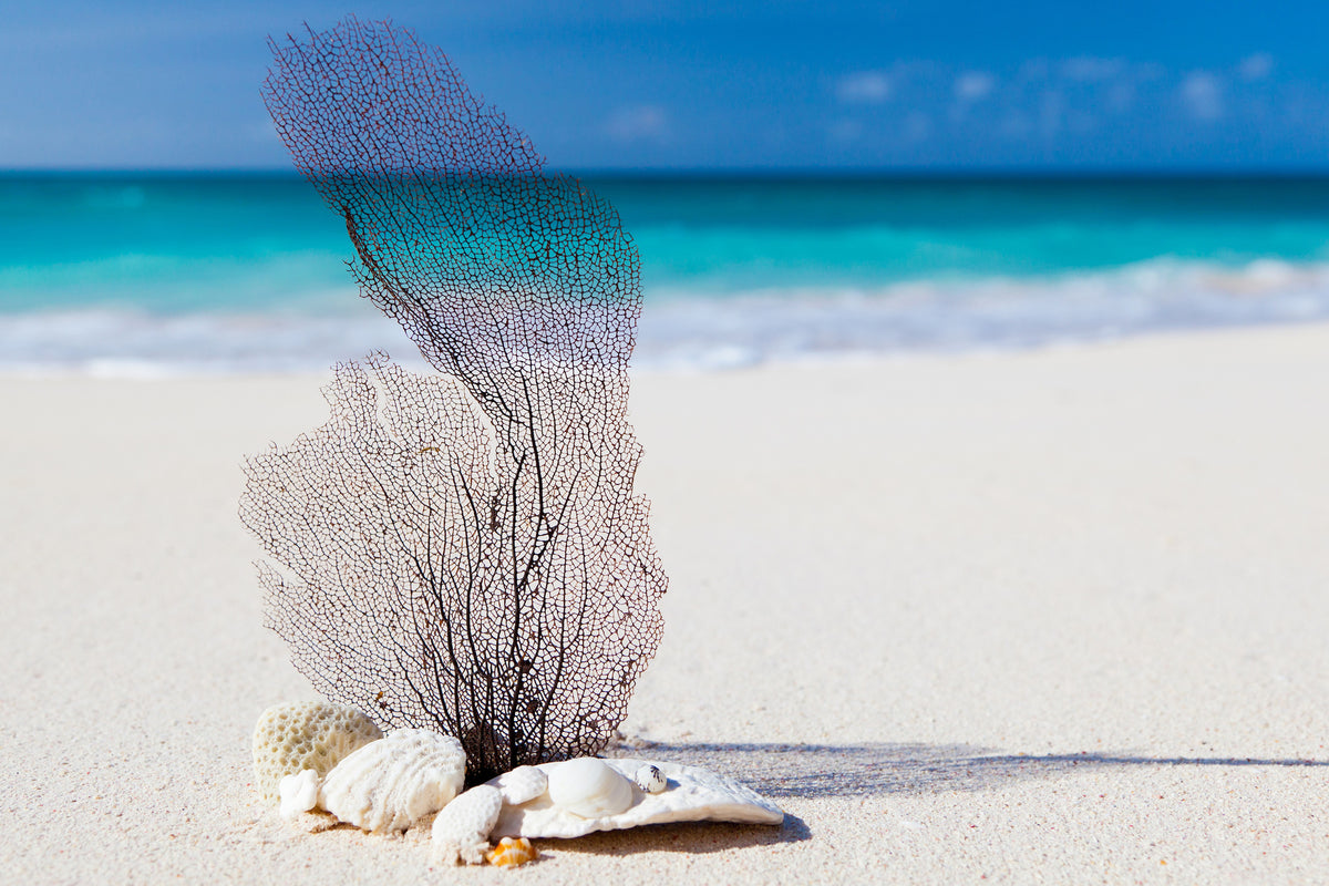 aluminium-print-beach-art