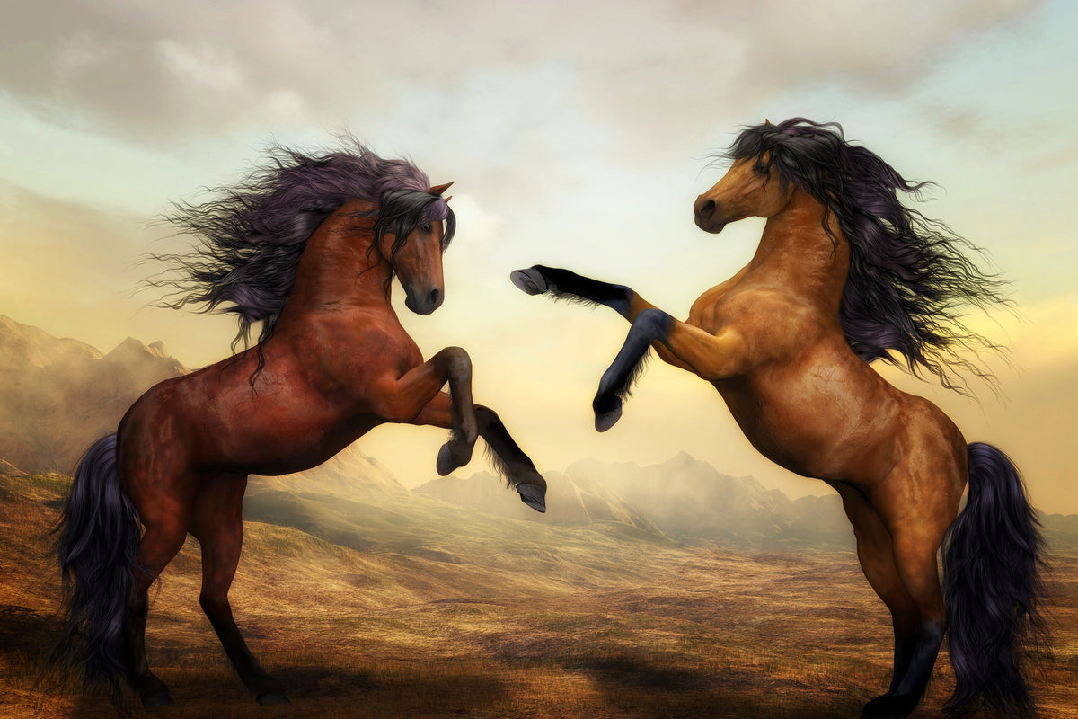 canvas-print-two-wild-horses