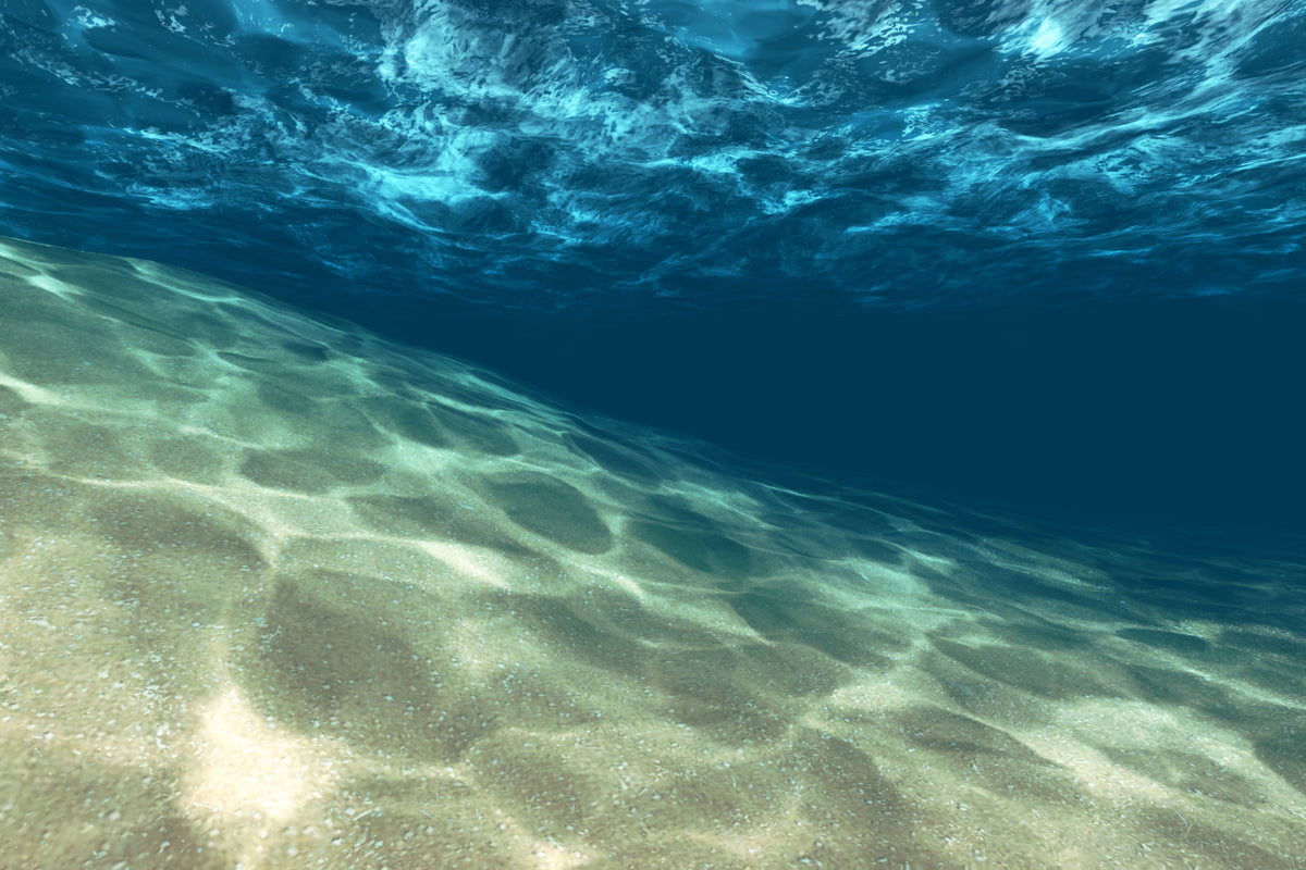 canvas-print-under-the-water