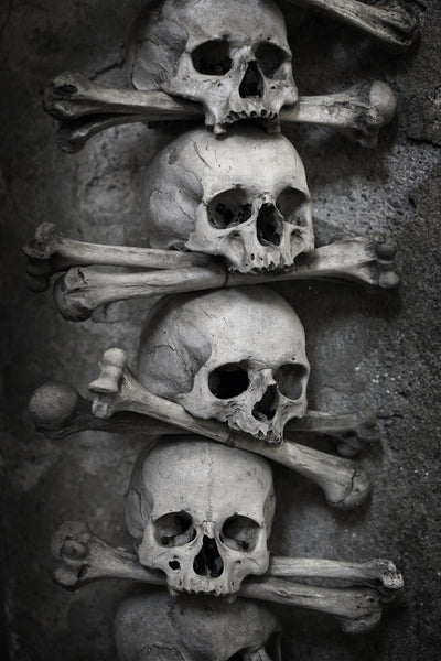 poster-print-skulls