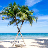 4-piece-aluminium-print-dream-beach-caribbean