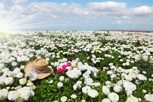 3-piece-aluminium-print-spring-flower-meadow