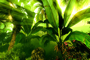 modern-3-piece-aluminium-print-sunrise-in-the-rainforest
