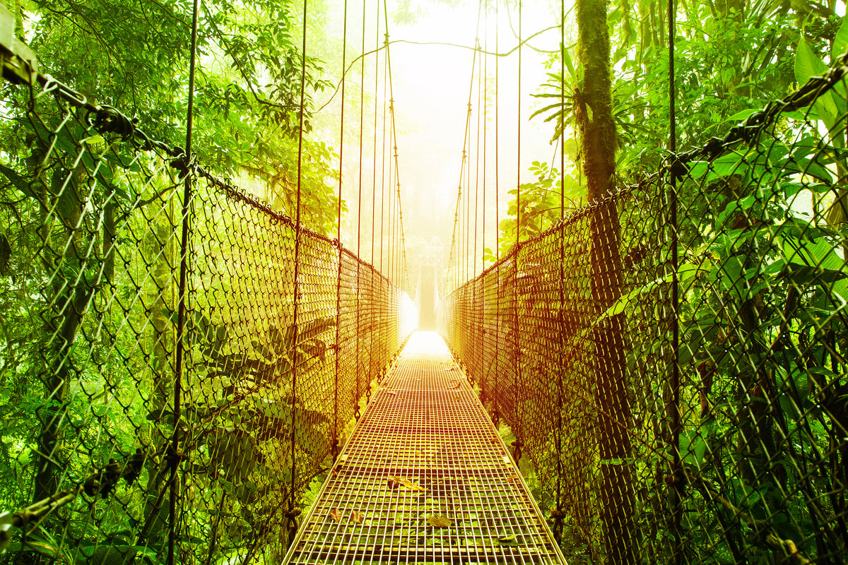 framedposter-print-suspension-bridge