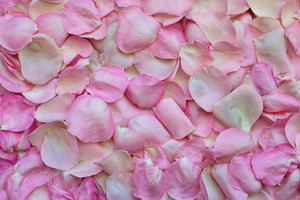 aluminium-print-rose-petals-in-pink-ii