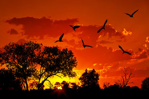 canvas-print-african-feeling