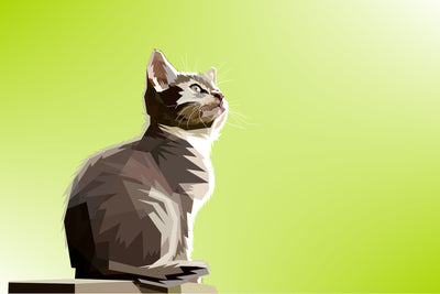 poster-print-pop-art-cat-xl