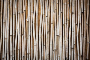 canvas-print-dried-bamboos