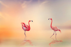 3-piece-acrylic-print-romantic-flamingos