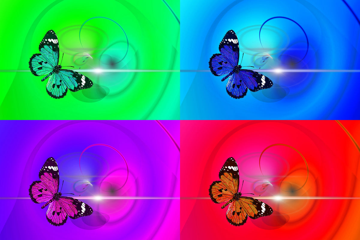 framedposter-print-pop-art-colorful-butterfly