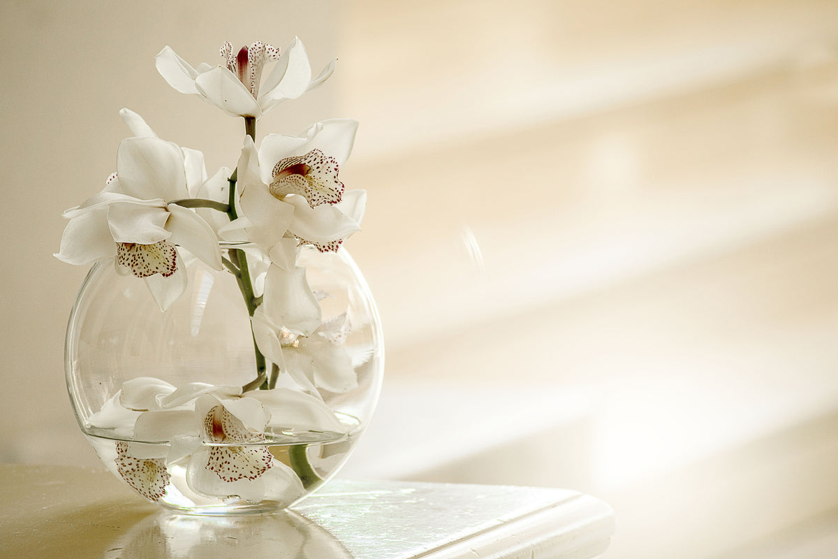aluminium-print-orchid-in-the-glass